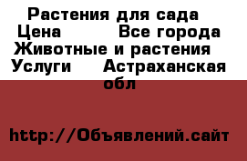 Растения для сада › Цена ­ 200 - Все города Животные и растения » Услуги   . Астраханская обл.